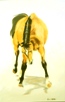 04 - Happy Horse - Pastel - Wendy Britton.JPG